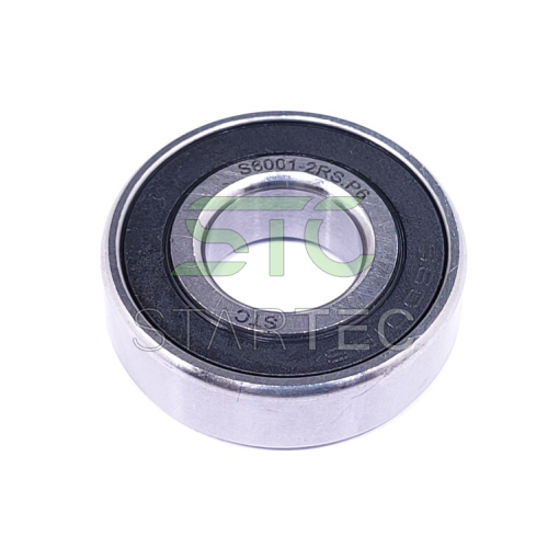 S6001-2RS.P6